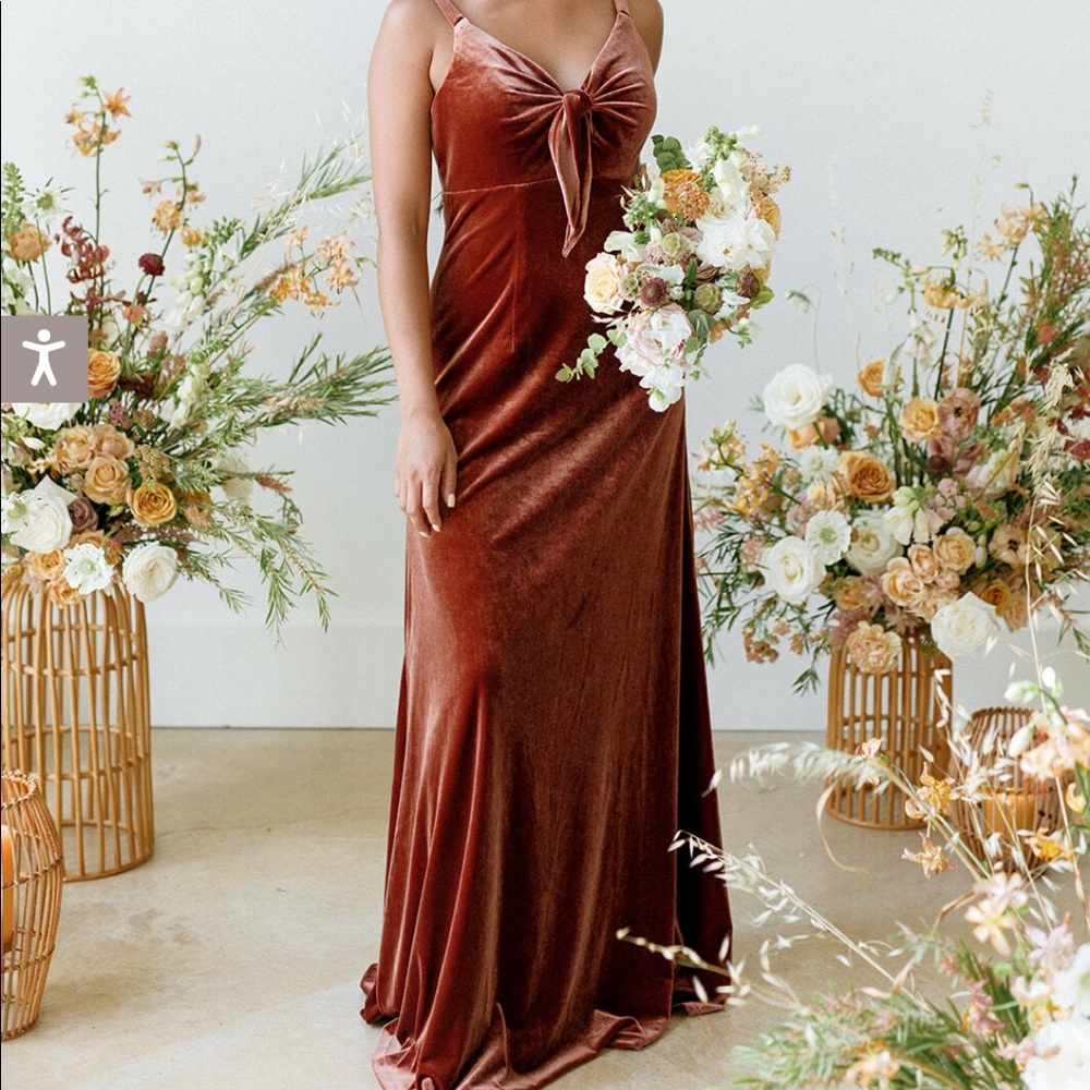 Revelry drew velvet dress